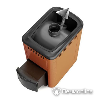 Дровяная банная печь TMF Ангара 2012 Inox терракота в Брянске